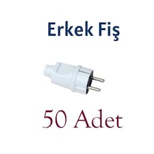 Orel Topraklı Erkek Fiş 50 Adet