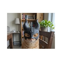Maleficent Tarzı Kedi Kaskı