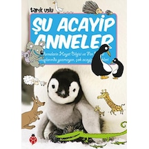 Şu Acayip Anneler - Uğurböceği Yayınları