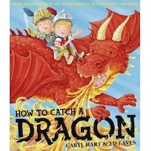How to Catch a Dragon 9780857079596