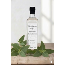 Okaliptus Suyu 1 Lt Aktar Diyarı Diğer