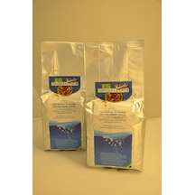 Inve Sep-art Artemia Yumurtası 1000gr Kapalı