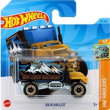 Baja Hauler - 57858324448396399283959