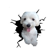 Maltese Araba Sticker Yapıştırması Model8 18Cm
