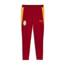 Puma Galatasaray Erkek Antrenman Eşofman Altı 786814 01 Kırmızı