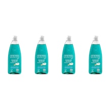 Viking Premium Fesleğen & Tatlı Limon Kokulu Sıvı Bulaşık Deterjanı 4 x 750 ML