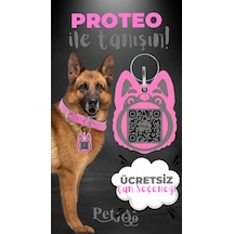 Petjoo 24.Proteo Gri-Pembe Qr'lı Köpek Künyesi