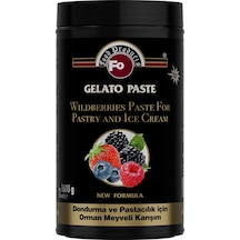 Fo Orman Meyveli Dondurma Ve Pastacılık İçin Karışım 1600 G