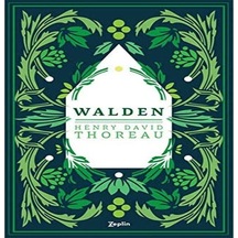 Walden - Ormanda Yaşam