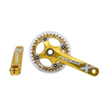 Raptor Ayna Kol A23z-as322p-34t 170mm Şeffaf Muafazalı Gold Çok Renkli