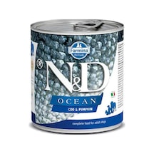 N&D Ocean Tahılsız Morina Balıklı ve Bal Kabaklı Konserve Yetişkin Köpek Maması 285 G