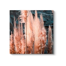 Pampas Otu Tablosu 30 X 30 7/8 Yaş