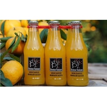 Bodrum Yadigarı Şeker İlavesiz Mandalin Gazozu 24 x 200 ML