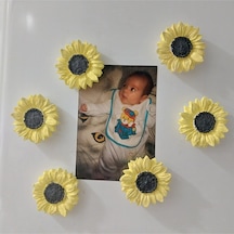 Bernami Mumluk Şamdanpinterest Buzdolabı Magnet Ayçiçeği Hediyelik Dekoratif Aksesuarlar - 6 Adet Diğer