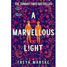 A Marvellous Light: A Dazzling, Queer Romantic Fantasy