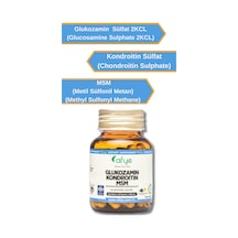 Afye Glukozamin Kondroitin Msm 50 Kapsül 1000 Mg