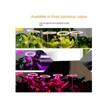 Kırmızı & Mavi Tam Spektrum Led Büyüyen Işık İç Mekan Bitkileri, Yüksekliği Ayar Melek Halkası Otomatik Led Aydınlatmalar 56853001