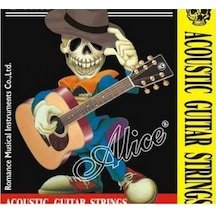 Alice Akustik Gitar Teli