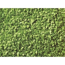 Noch 7142 Yapraklar, Açık Yeşil, 50 Gram Diorama Malzemesi-54598
