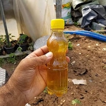 Diğer