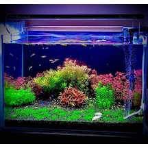Armatürk 2040H Akvaryum Armatürü 40 CM