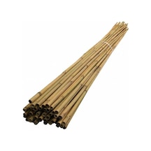 Fidan Destek Çubuğu Kamış ucu Sivriltilmiş 140-150cm 25  Adet