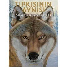 Tıpkısının Aynısı / Holger Haag