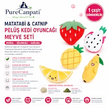 Matatabi Ve Catnip İçeren Peluş Meyve Kedi Oyuncağı 1 Adet Karışık Model