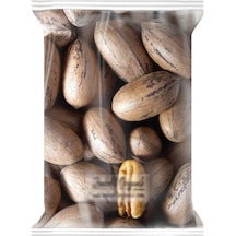 Zencefil Organik Pikan Cevizi Pecan Nut Kabuklu Pikan 1 KG