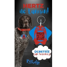 Petjoo 26.Hertz Mavi-Kırmızı Qr'lı Köpek Künyesi