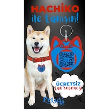 Petjoo 19.Hachiko Mavi-Kırmızı Qr'lı Köpek Künyesi