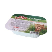 Mio Cat Grass Kutulu Kedi Çimi