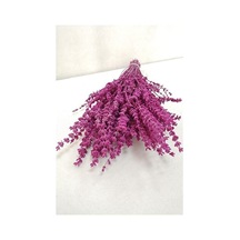 Şoklanmış Dökülmeyen Gerçek Lavanta Demeti 100 Gr Pembe