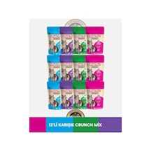Snaky Crunch Kedi Ödül 4 Çeşit X 12