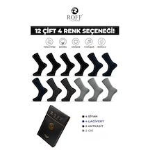 Çok Renkli