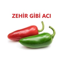 Zehir Gibi Meksika Jalapeno Biber Fidesi-5 Adet