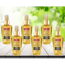 Botanic Oils Besleyici Ve Onarıcı Argan Saç Bakım Yağı 100 Ml 6 Adet