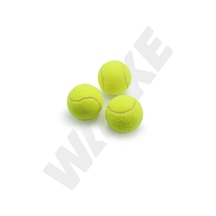 Walke Başlangıç Seviye Antrenman İçin 3 Adet Tenis Topu
