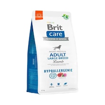 Brit Care Kuzu Etli Hypoallergenic Büyük Irk Yetişkin Köpek Maması 12 KG