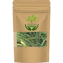 At Kuyruğu Equisetum Arvense Kırkkilit Otu 225 Gr