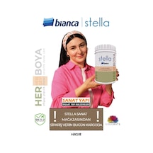 Stella Boya Yeni Renkler 1lt Diğer