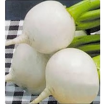 Beyaz Turp Tohumu Arzuman