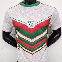 Snapbuy 24-25 Cezayir Özel Futbol Forması 3d Baskılı Kısa Kollu Tişört - Erkek Ve Kadınmultı Multı