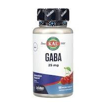 Kal Gaba 25 Mg Activmelt Instant Dissolve Tablets