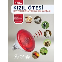 100w Kızılötesi İnfrared Isıtıcılı Hayvan Isıtma Ve Kuluçka Lambası Kırmızı Işık E27 Kalın Duy L