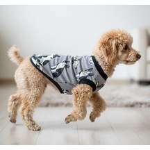Miniş Dog Friends Küçük Irk Köpek Esnek Penye T-shirt-17160