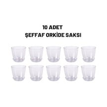 Orkide Saksısı Kristal Orkide Saksı 10 Adet 1,5 Litre Orkide Saksı Şeffaf Orkide Saksısı
