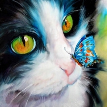 Kedi Ve Kelebek Sayılarla Boyama Seti - Çerçeveli, 40x50cm