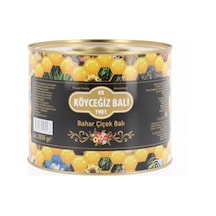 Köyceğiz Balı Bahar Çiçek Balı Teneke 2850 G