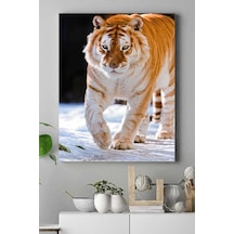 Pster16443 Kaplan Hayvan Kanvas Tablo 21 X 30 7/8 Yaş Pster16443 Kaplan Hayvan Kanvas Tablo 21 X 30 7/8 Yaş